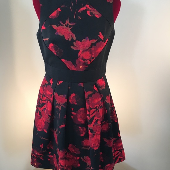 Taylor Red and Black Floral Dress 8P - Picture 3 of 6